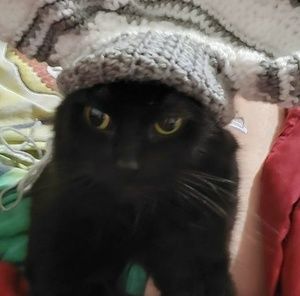 Meet your Posher, Ron